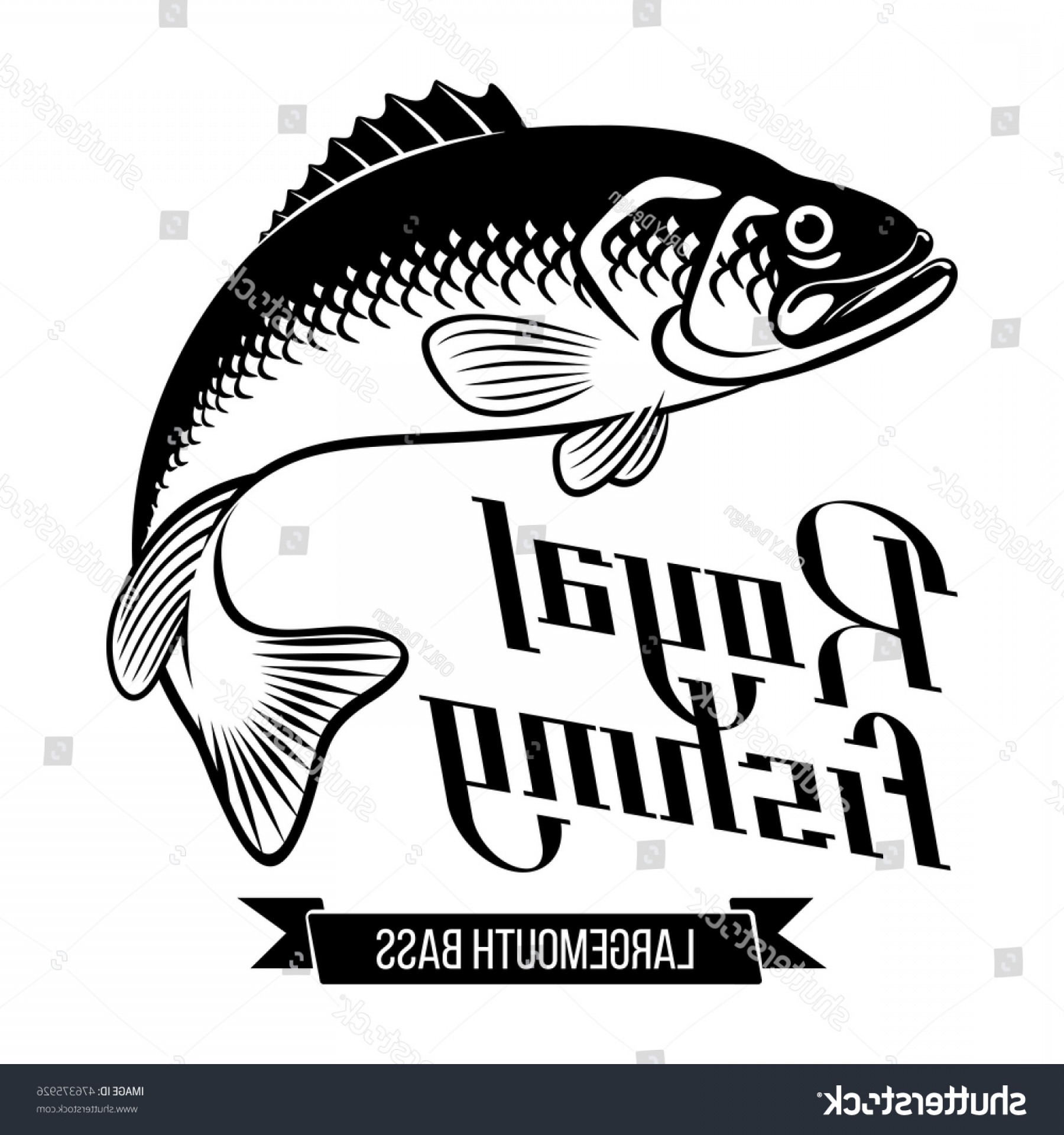 1800x1920 Largemouth Bass Fish Vector Illustration Royal Soidergi