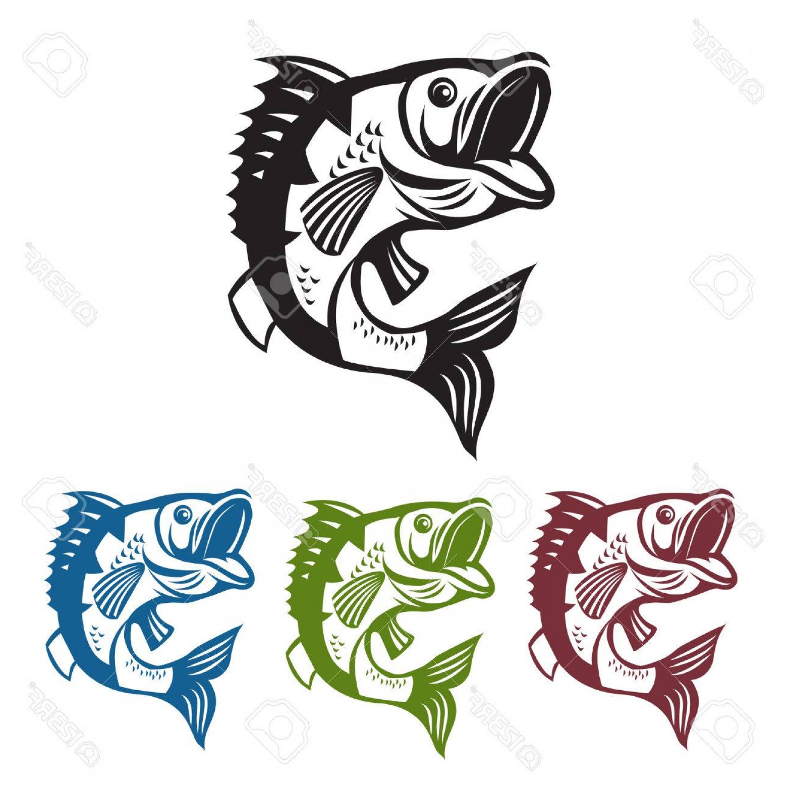 1560x1560 Photostock Vector Catching Bass Fish Vector Fish Color Graphic