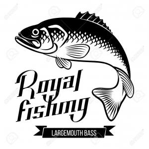 Best Free Graphic Bass Fish Vector Images Createmepink 300x300 Best Free Graphic Bass Fish Vector Images Createmepink