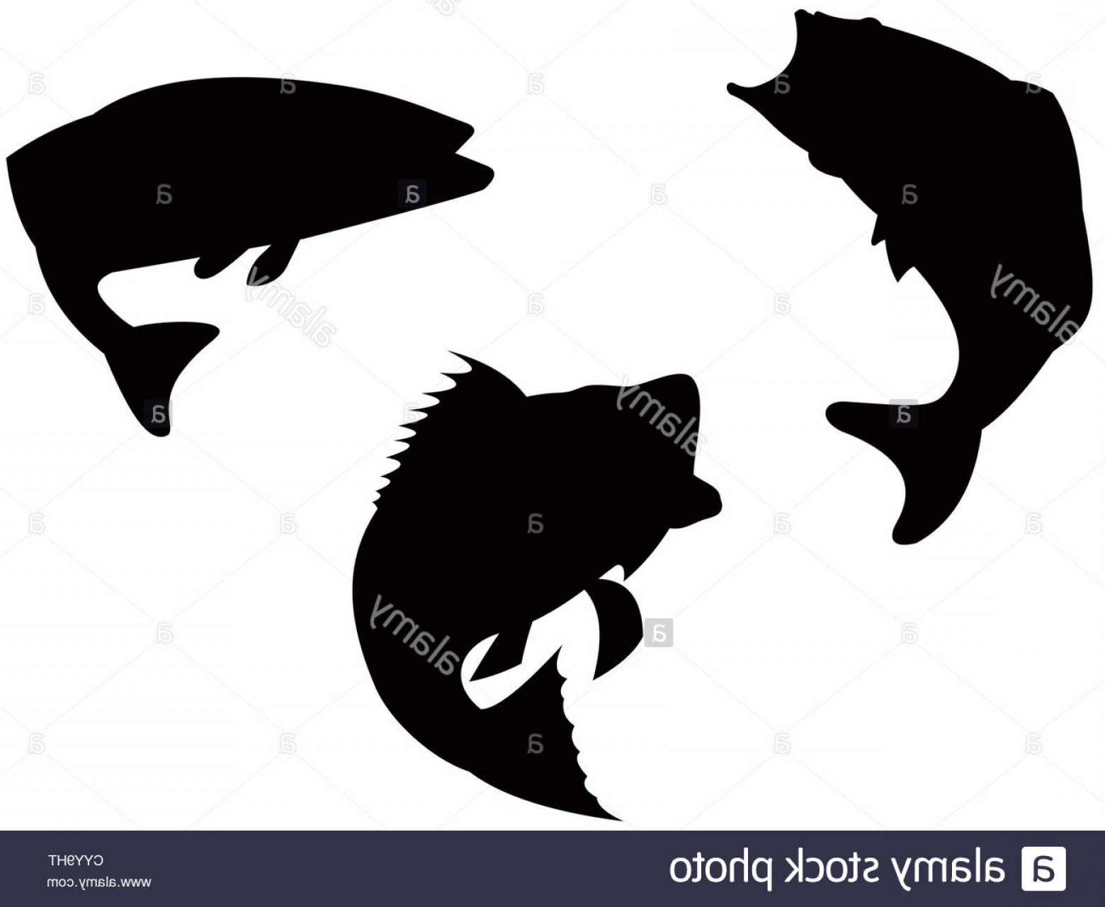 Jumpimg Bass Fish Silhouettes Vector Geekshirts 1560x1281 Jumpimg Bass Fish Silhouettes Vector Geekshirts