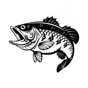 Bass Silhouette Vector at Vectorified.com | Collection of Bass ...