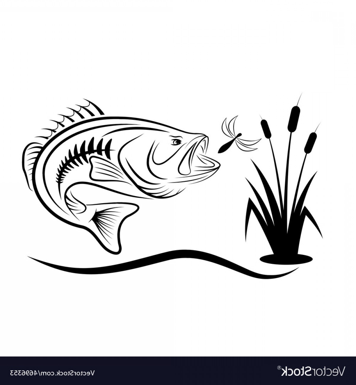 1200x1296 Jumping Bass For Dragonfly Vector Handandbeak