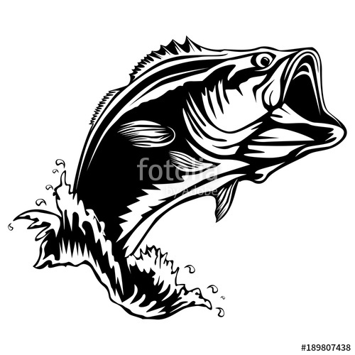 Bass Vector at Vectorified.com | Collection of Bass Vector free for ...