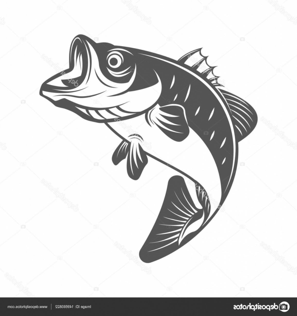 Bass Vector at Vectorified.com | Collection of Bass Vector free for ...