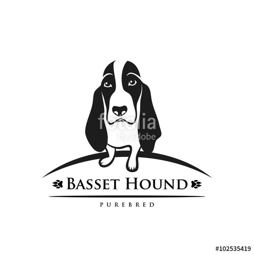 500x500 Basset Hound Stock Image And Royalty Free Vector On Fotolia
