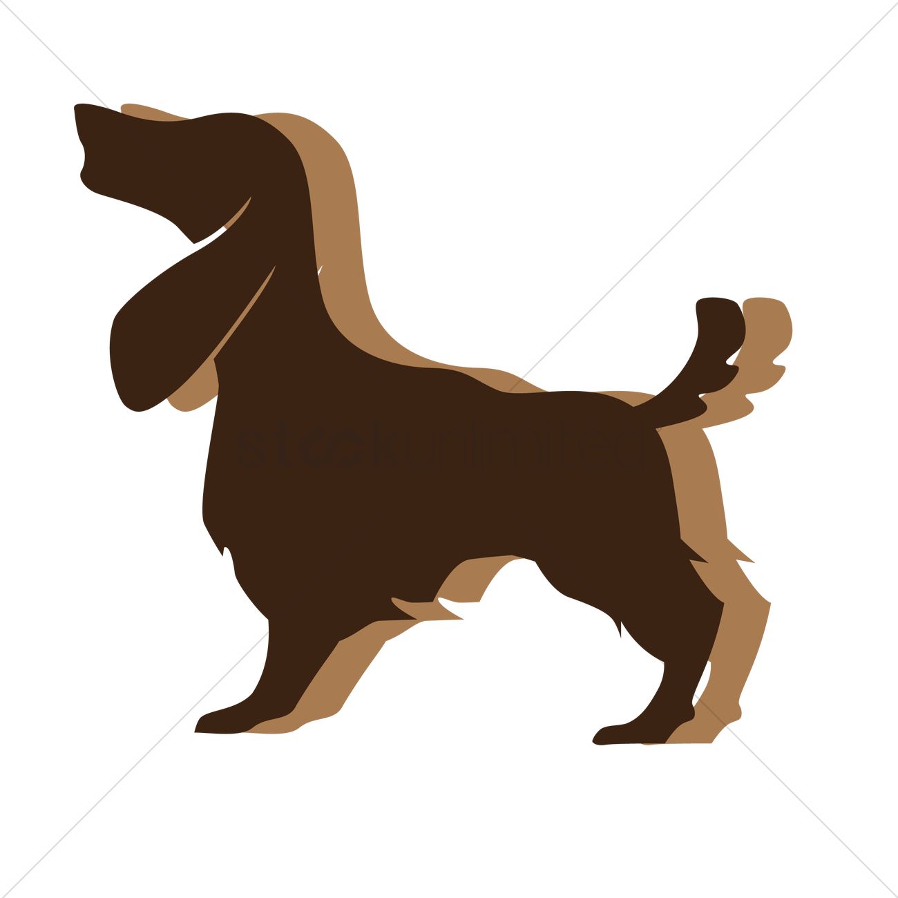 1300x1300 Basset Hound Vector Image