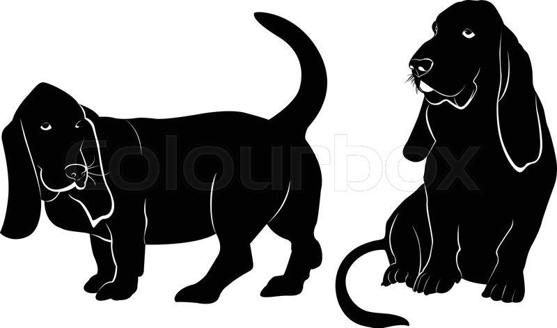 800x471 Basset Hound Dog Vector Silhouette Stock Vector Colourbox