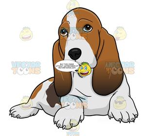300x280 Brown And White Basset Hound Lying Down Clipart Cartoons