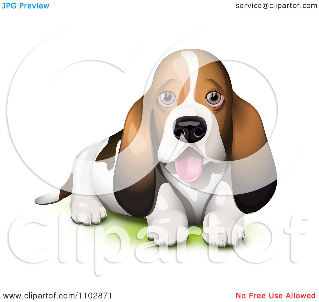 1080x1024 Clipart Panting Basset Hound Puppy