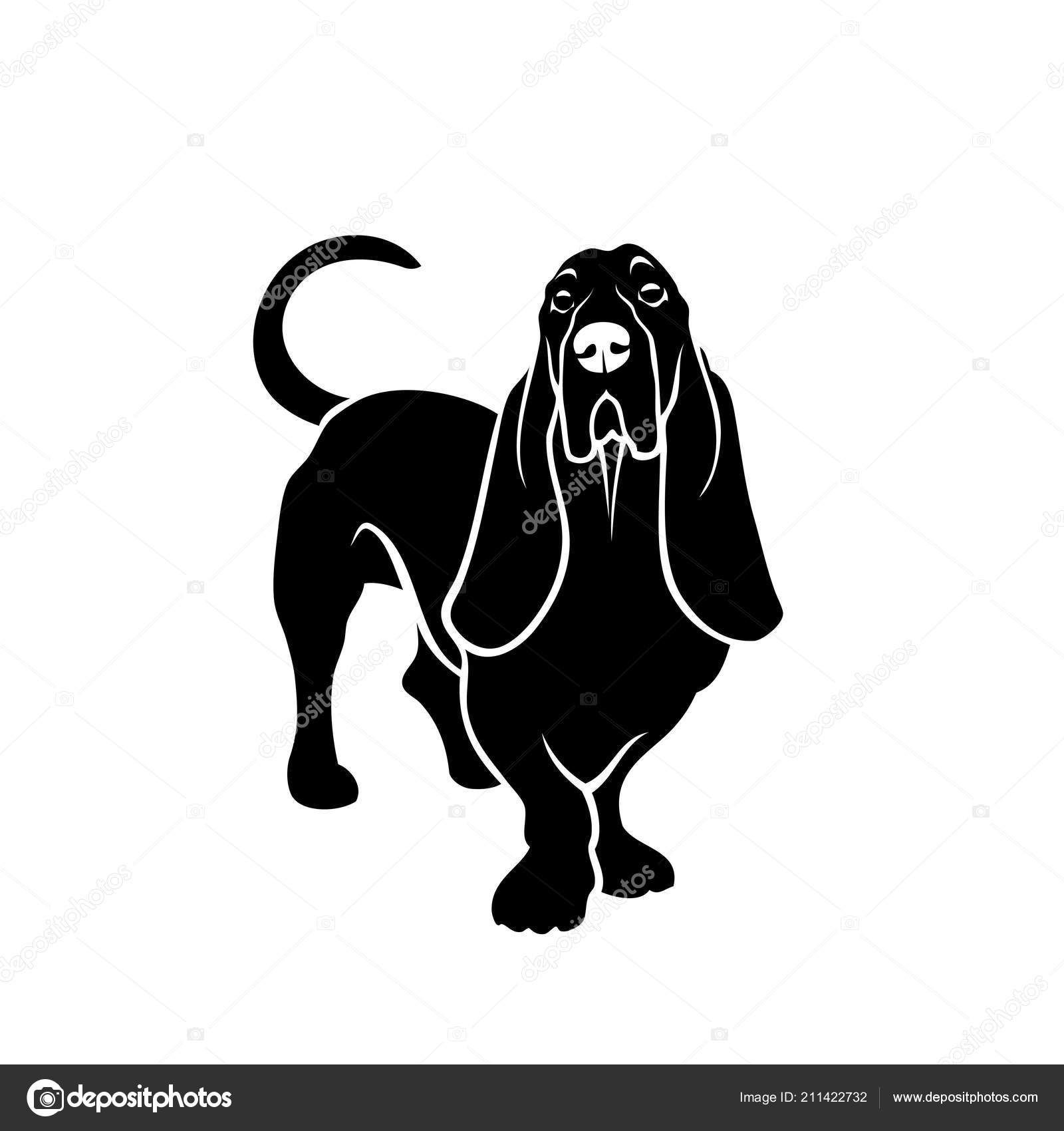 1600x1700 Descargue El Vector De Stock Basset Hound Dog