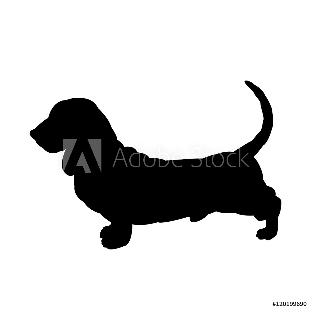 1000x1000 Photo Art Print Basset Hound Vector Illustration Black