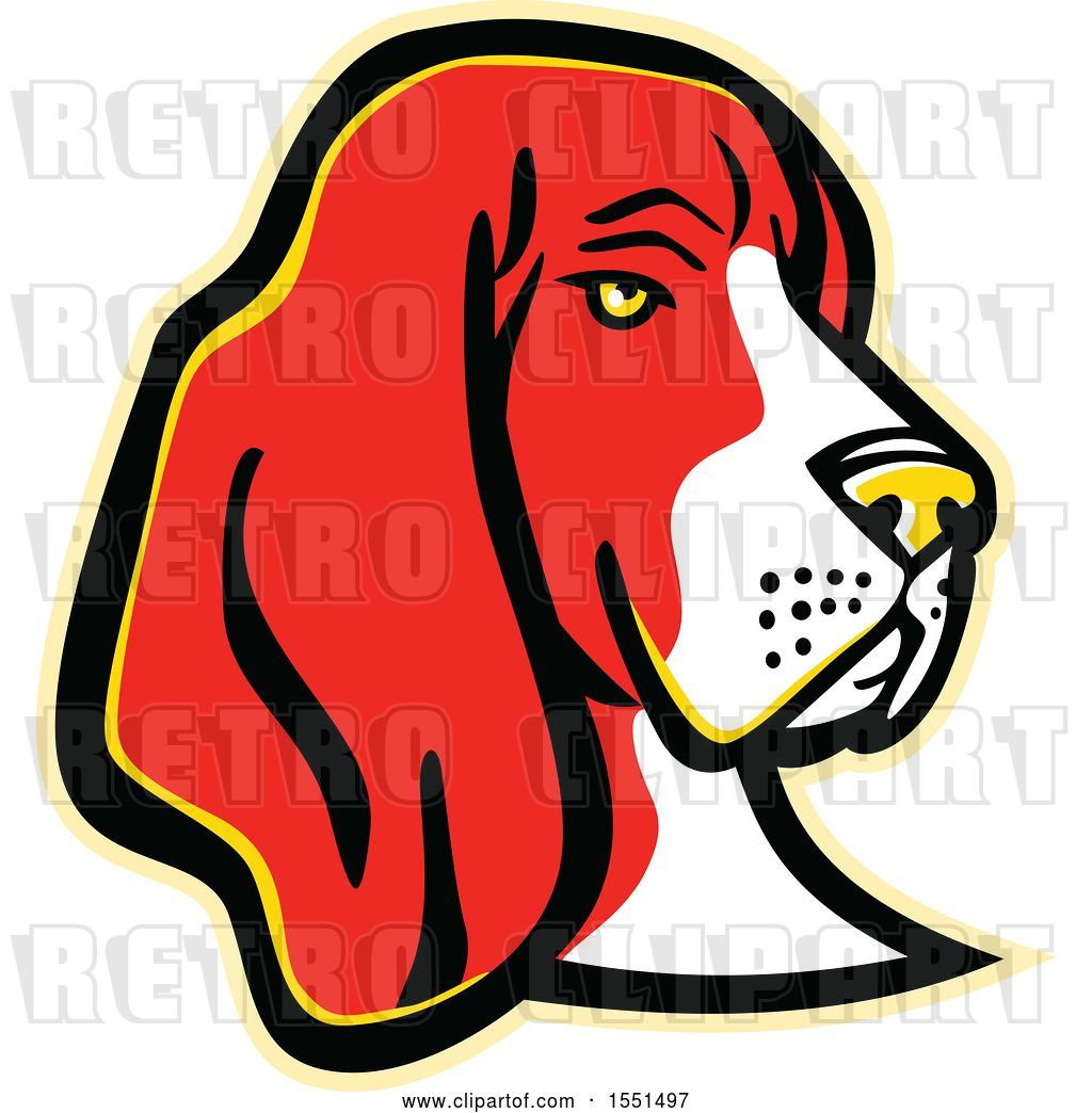 1024x1044 Vector Clip Art Of Retro Basset Hound Dog Mascot Head