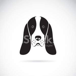 300x300 Vector Image Of An Basset Hound Head Premium Clipart
