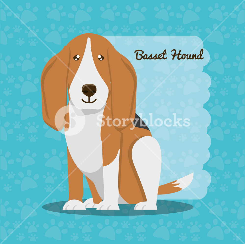 1000x996 Basset Hound Dog Icon Over Blue Background, Colorful Design Vector