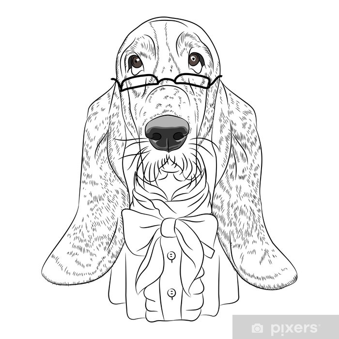 700x700 Vector Funny Cartoon Hipster Dog Basset Hound Sticker Pixers