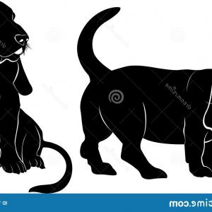 300x300 Basset Hound Dog Vector Silhouette Image Wallkeeper