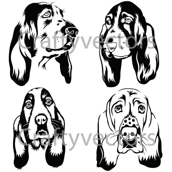 570x570 Basset Hound Portraits Vector Etsy