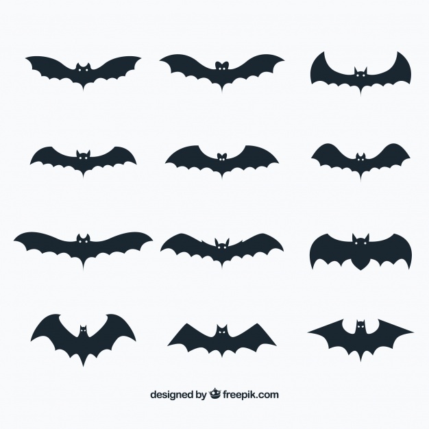 626x626 Bats Vectors, Photos And Free Download