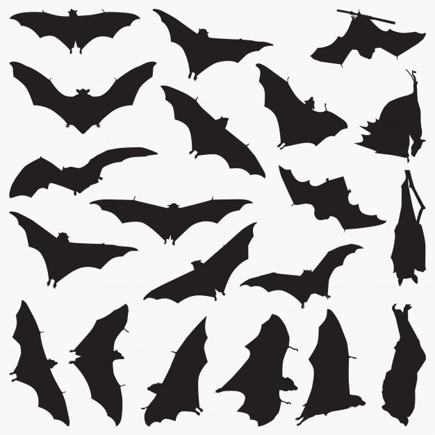 626x626 Bats Silhouettes Vector Premium Download