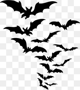 260x291 Collection Of 'flying Bat Silhouette' Download More Than