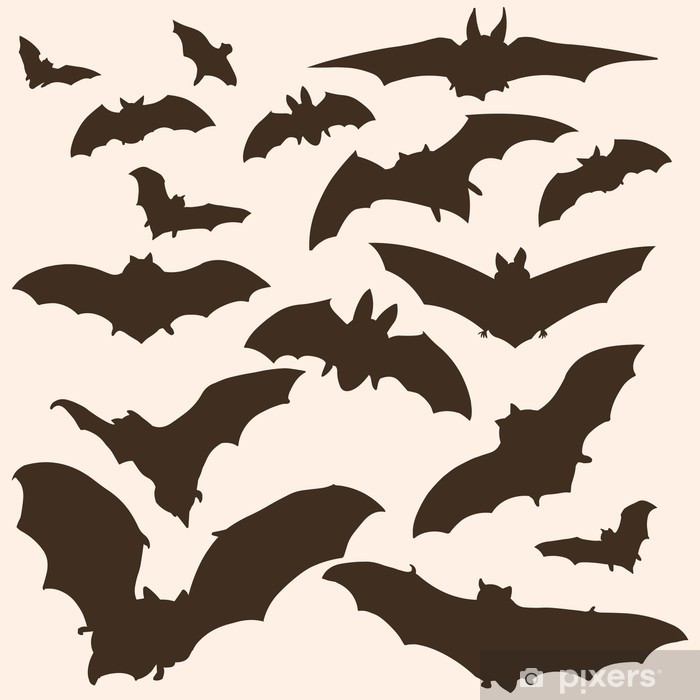 700x700 Vector Bats Silhouettes Poster