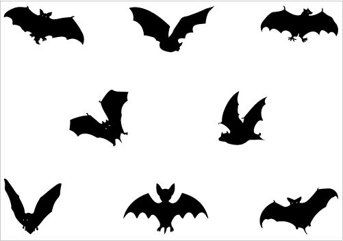 501x352 Bat Silhouette Vector Pack Birds Vector Graphics Bat