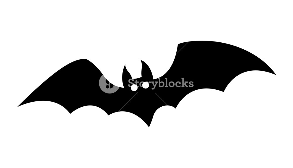 1000x575 Bat Silhouettes