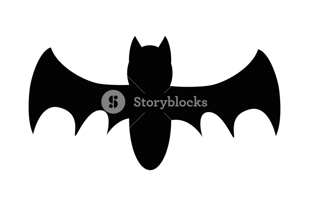 1000x667 Cute Bat Animal To Halloween Symbol Vector Illustration Royalty