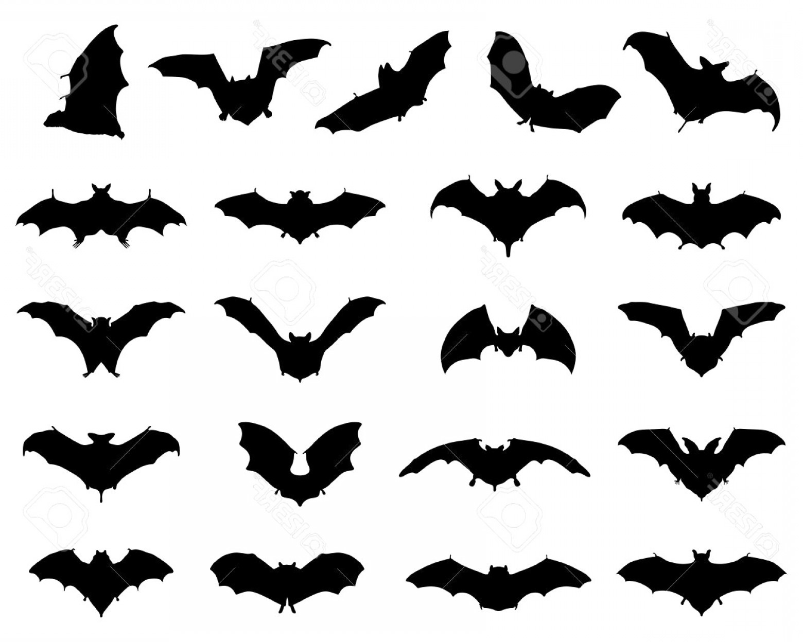 1560x1248 Black Silhouettes Of Different Bats Vector Bat Soidergi