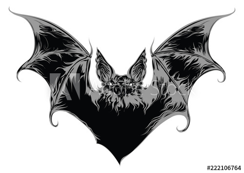 500x354 Ghost Bat Vector Illustration