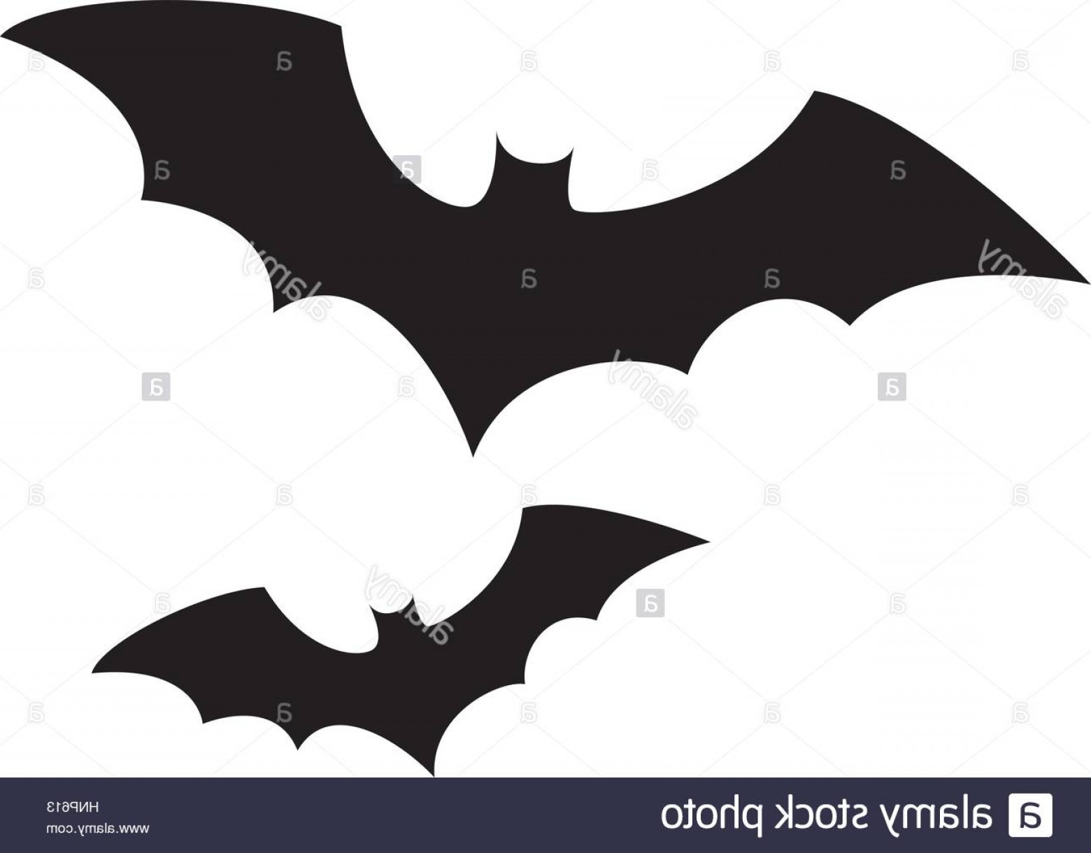 1560x1220 Halloween Bat Vector Lamaison