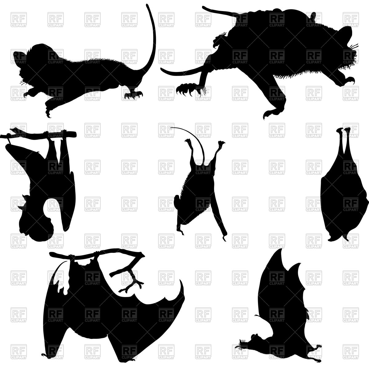 Silhouettes Of Bats Vector Image Of Plants And Animals Angelp 1200x1200 Silhouettes Of Bats Vector Image Of Plants And Animals Angelp