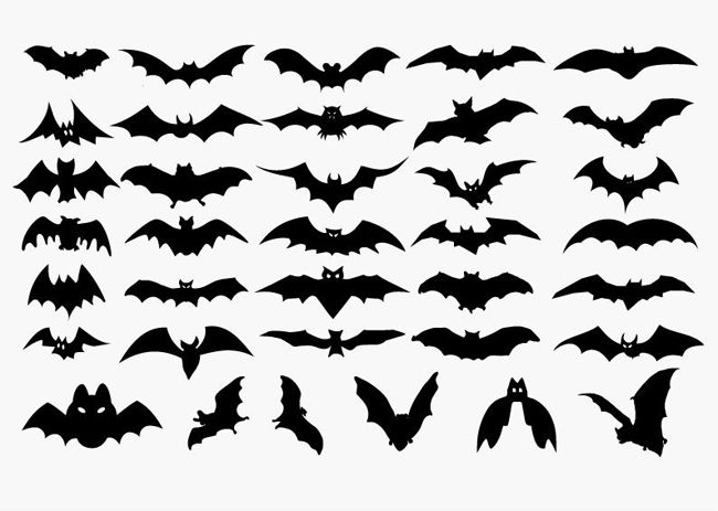 Vector Set Of Halloween Bat Silhouette 650x463 Vector Set Of Halloween Bat Silhouette