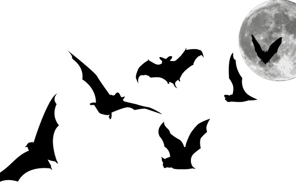 Free Download Of Bat Vector Graphics And Illustrations 600x380 Free Download Of Bat Vector Graphics And Illustrations