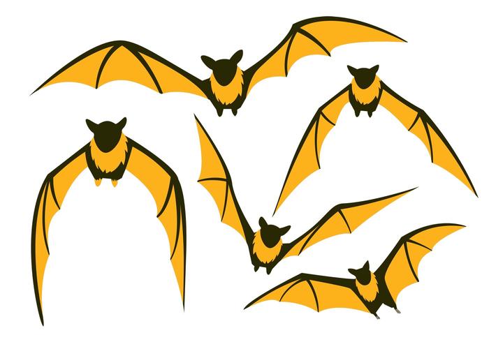 Bat Free Vector Art 700x490 Bat Free Vector Art