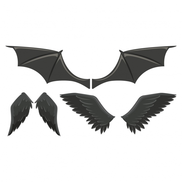 626x626 Wild Animal Wings Collection Vector Free Download