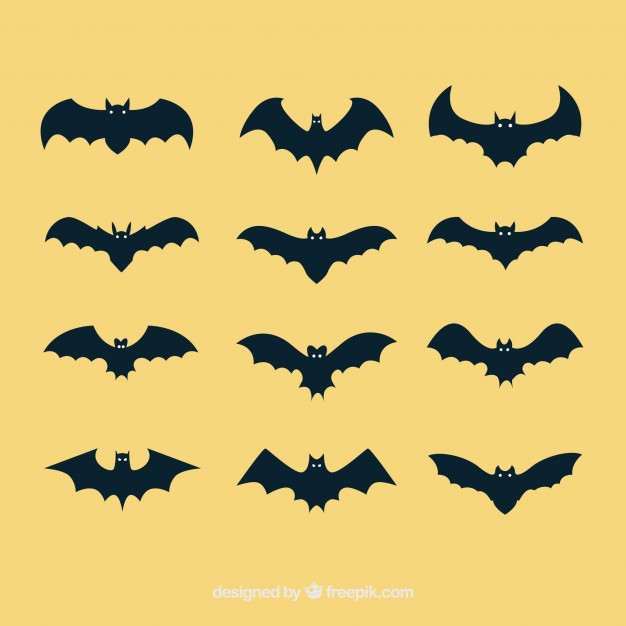626x626 Batman Symbol Vectors, Photos And Free Download