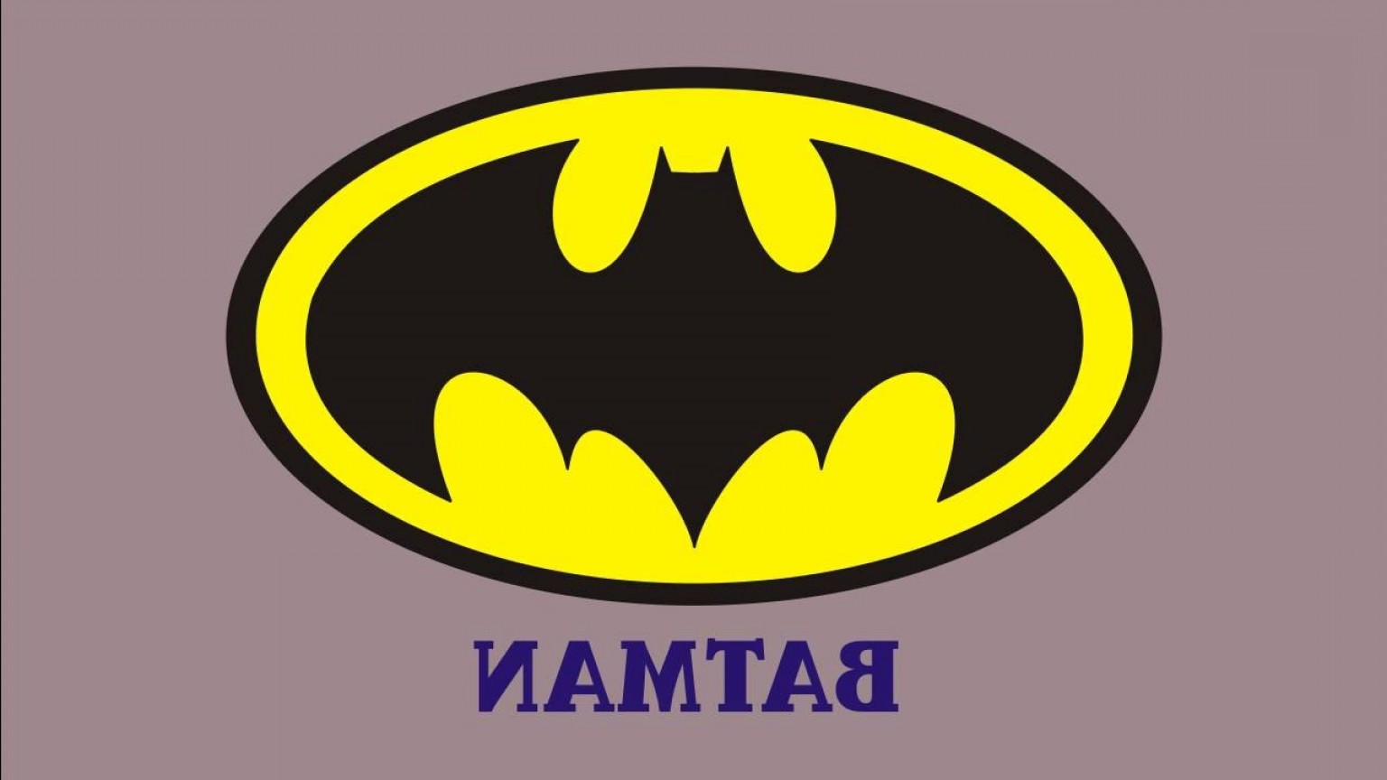 1536x864 Batman Vs Superman Vector Hoodamath