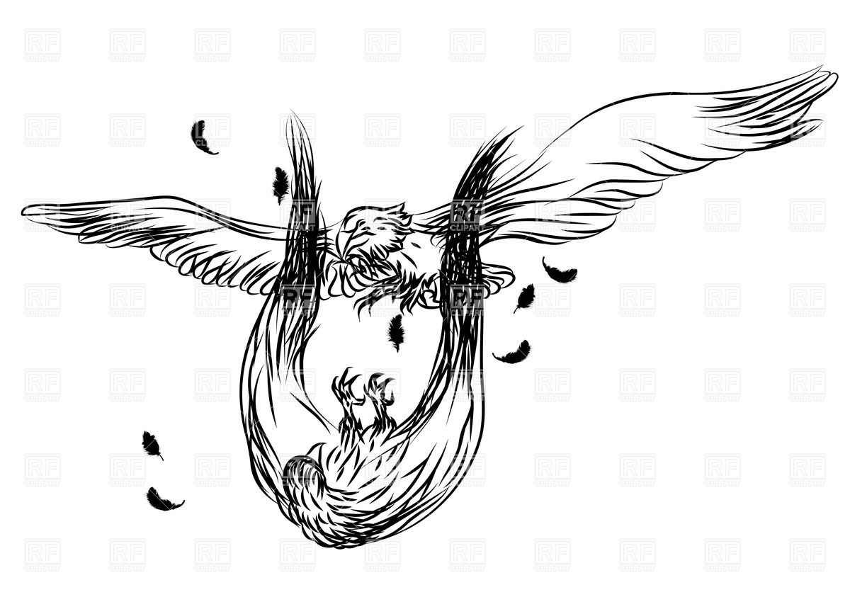 1200x843 Outlines Of Flying Eagles In Battle Vector Image Of Plants