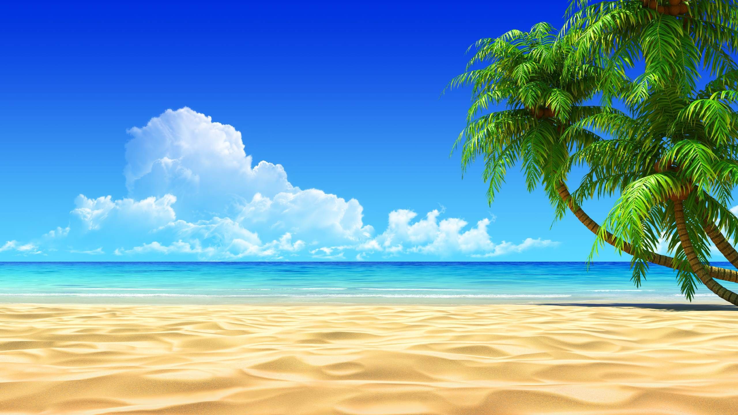 Elements Of Tropical Beach Background Vector Art Free Vector 2560x1440 Elements Of Tropical Beach Background Vector Art Free Vector