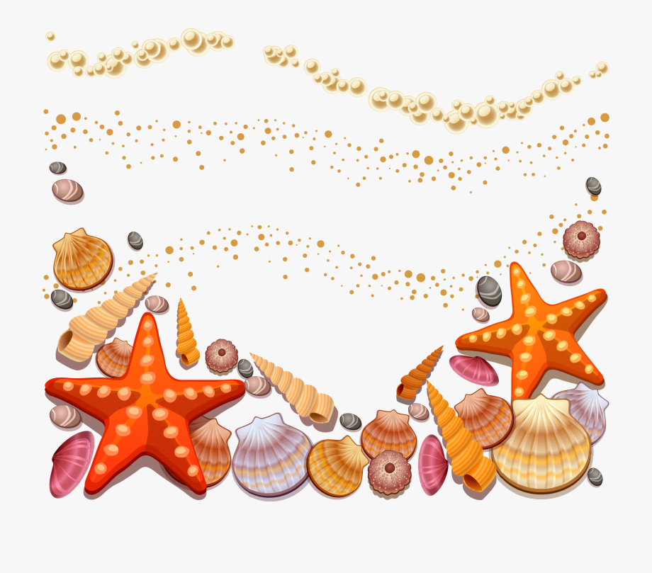 920x809 Shells On The Beach Clipart Png