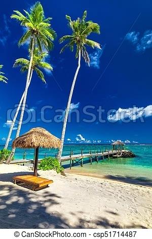Palm Tree Beach Scene Tropical Beach With Coconut Palm Trees 300x470 Palm Tree Beach Scene Tropical Beach With Coconut Palm Trees