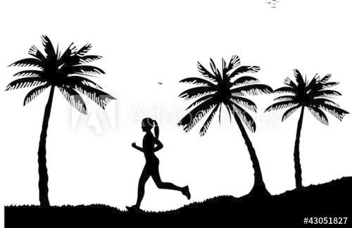 Girl Running Between The Palms On The Beach Silhouette 500x324 Girl Running Between The Palms On The Beach Silhouette