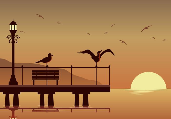 Albatross 700x490 Albatross