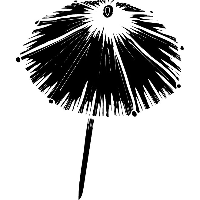 Beach Umbrella Vector Image 660x660 Beach Umbrella Vector Image