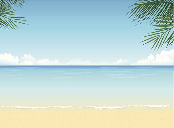 612x450 Tropical Beach Vector Art Illustration Animals Beach Clipart