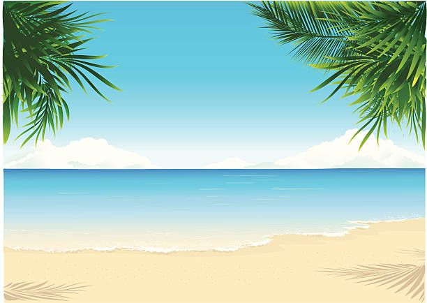 612x434 Paradise Beach Vector Art Illustration Animals In Beach