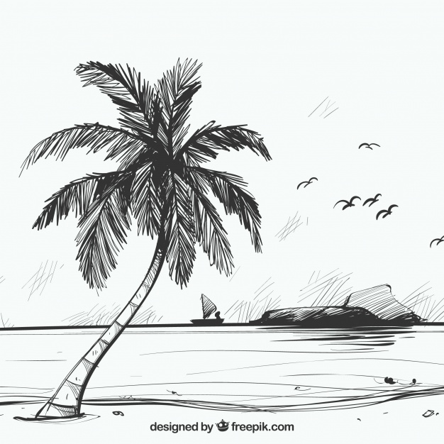 626x626 Beach Sketch Background With Palm Tree Vector Free Download