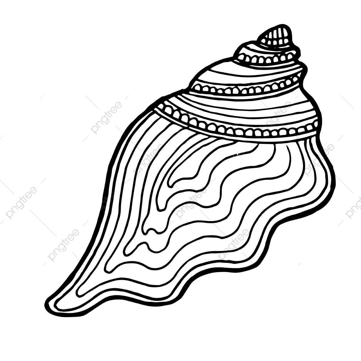 1200x1200 Beautiful Hand Drawn Black And White Seashell, Seashell, Ocean
