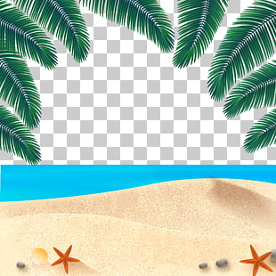Beach Vector Free